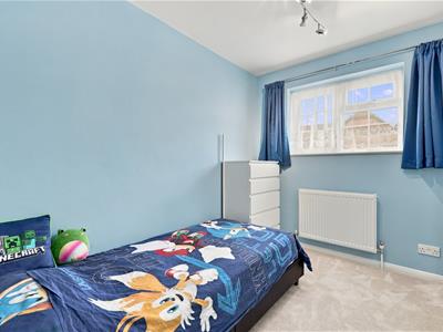 Picture 15